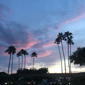 Meet your Posher, Jordyn